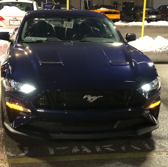 Meet your Posher, Anthony - Picture 1 of 1